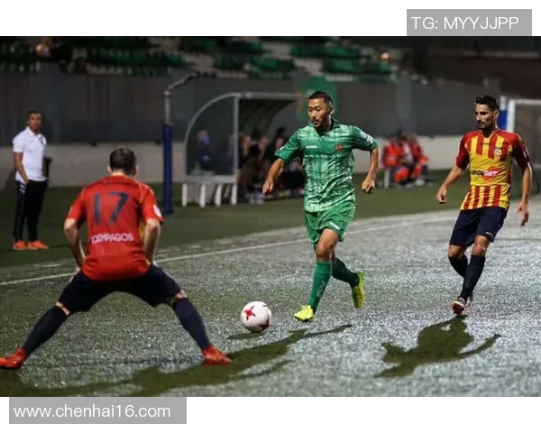 足球明星退役后职业选择的多样性与发展路径分析