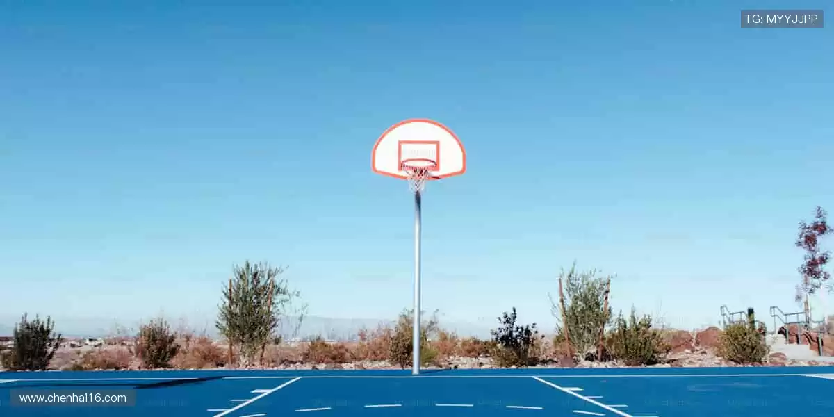 🎯 专业装备，助力突破极限！💪 每一次挥拍，都是精准的胜利！